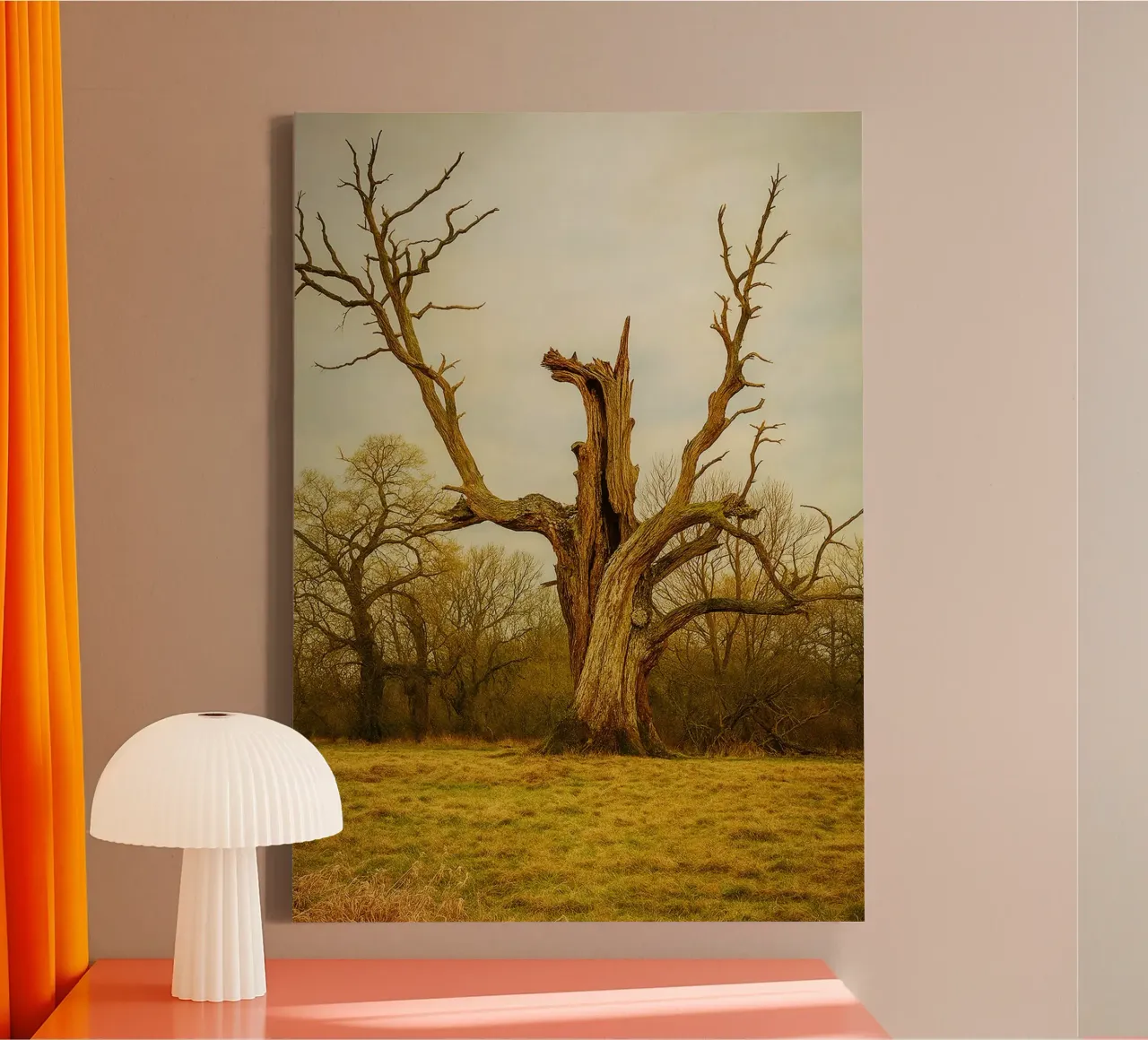 tronc d'arbre cassé vue photographie toile avec Caisse américaine de landtengs