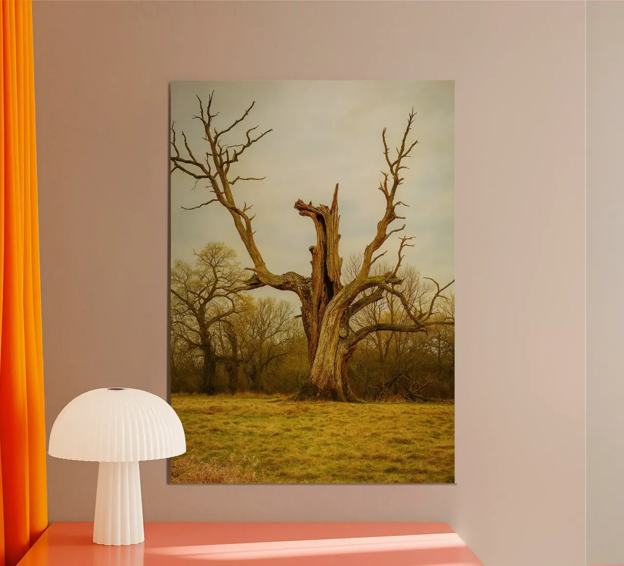 tronc d'arbre cassé vue photographie poster de landtengs