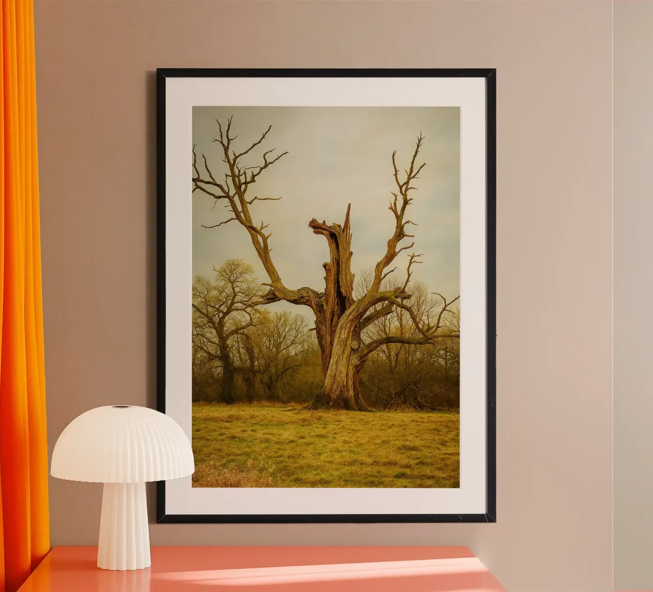 tronc d'arbre cassé vue photographie poster de landtengs