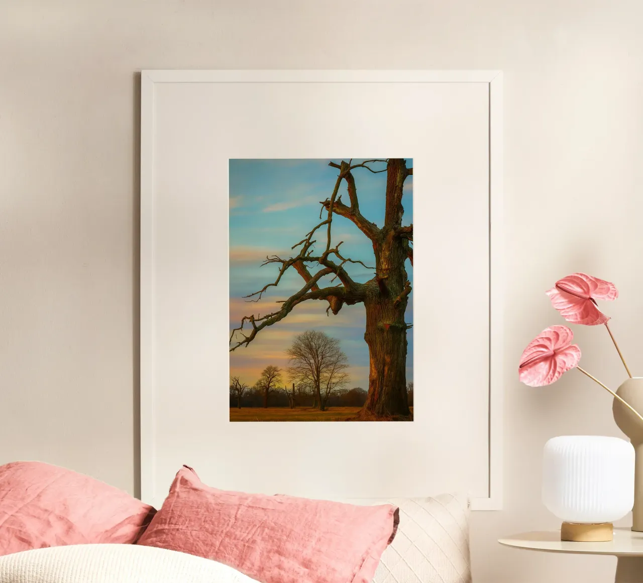 arbres secs vue photographie poster de landtengs