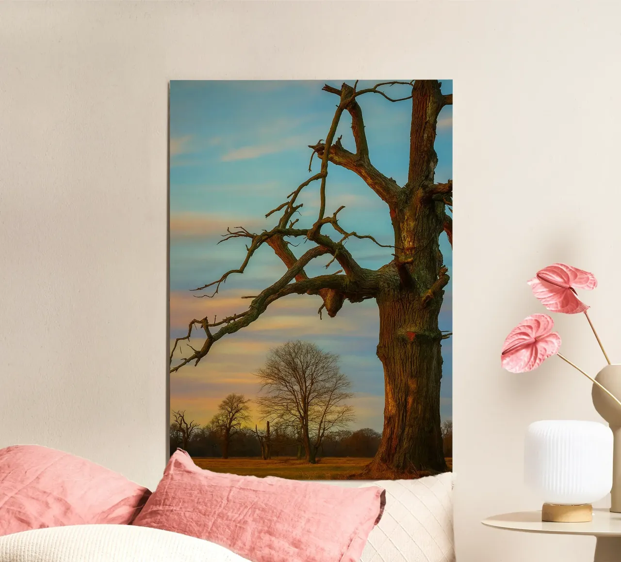 arbres secs vue photographie poster de landtengs