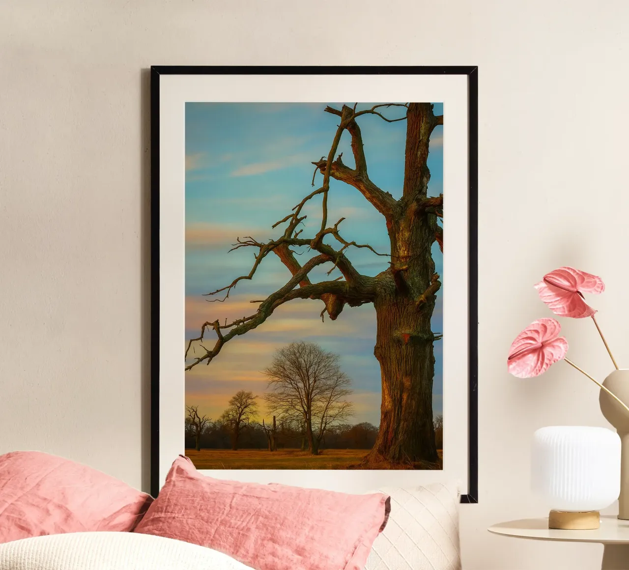 arbres secs vue photographie poster de landtengs