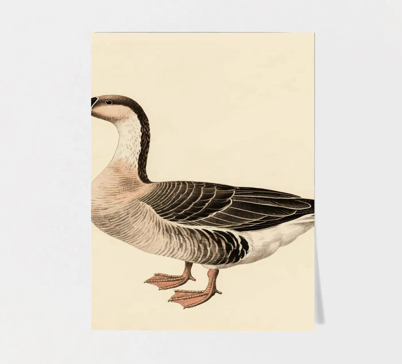Gans stickervel van knowledge