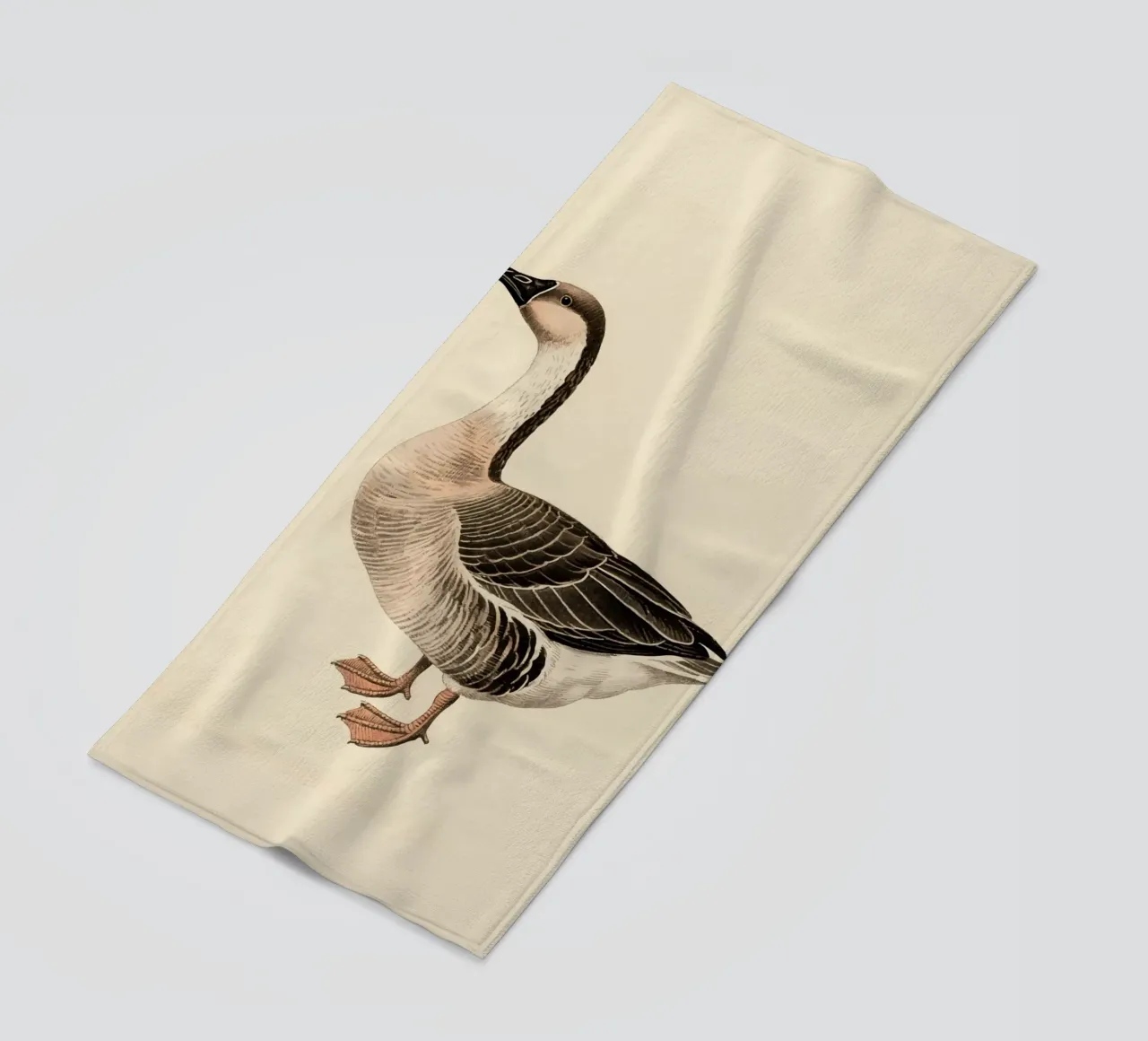 Oca telo mare da knowledge