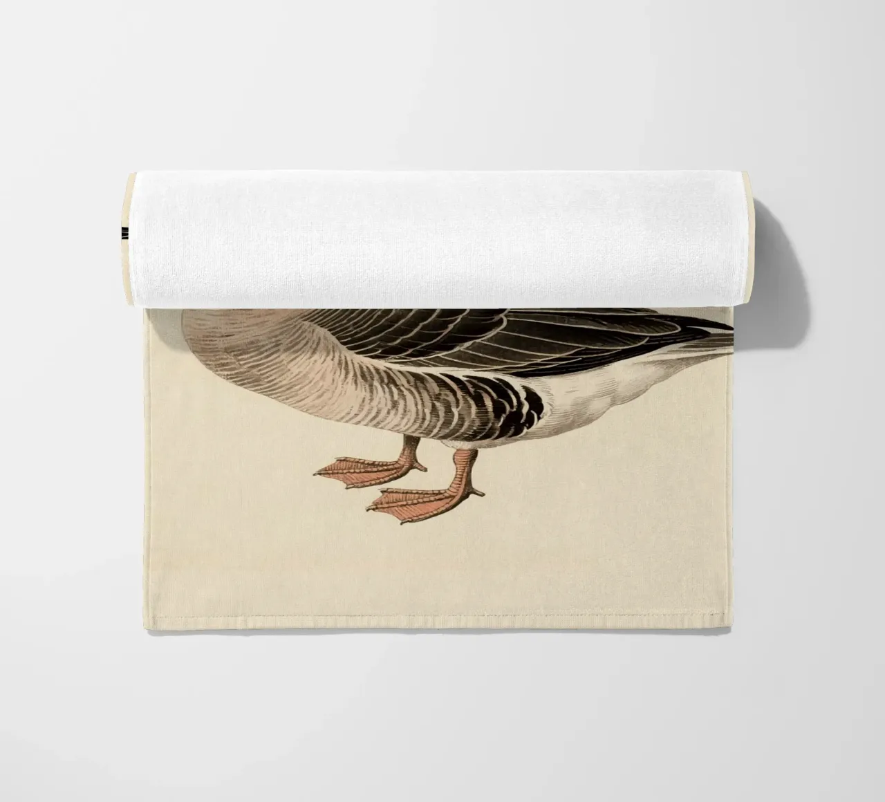 Oca telo mare da knowledge