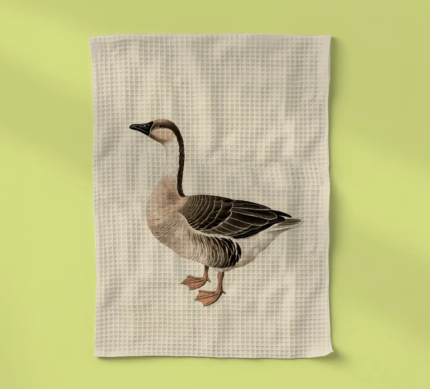 Gans Geschirrtuch von knowledge