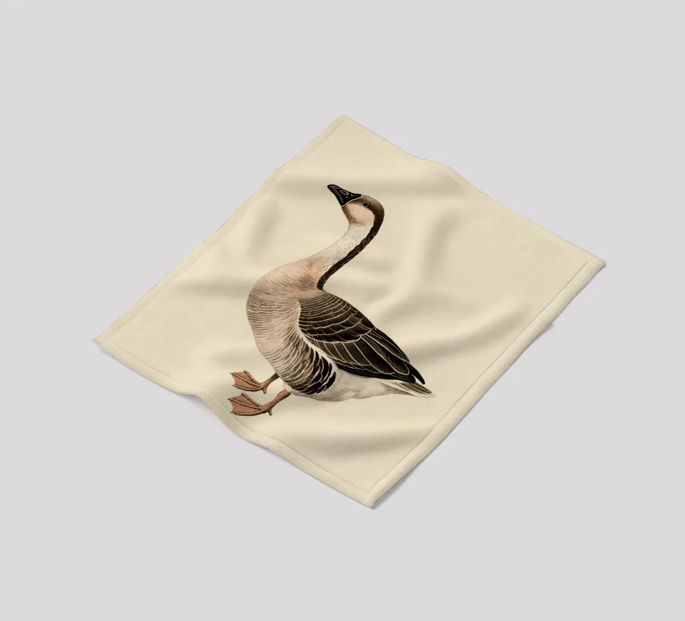 Oca coperta in pile da knowledge