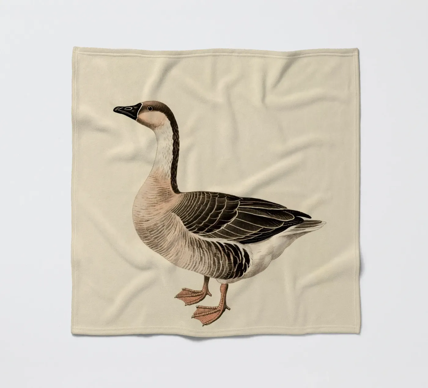 Oca coperta in pile da knowledge