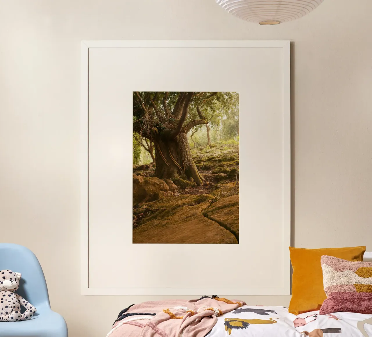 vieux arbres vue photographie poster de landtengs