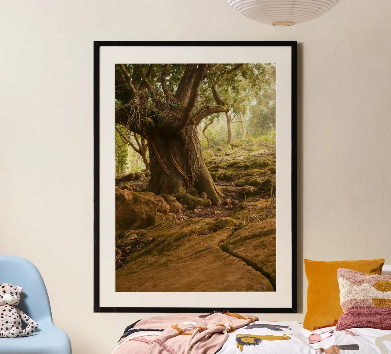 vieux arbres vue photographie poster de landtengs
