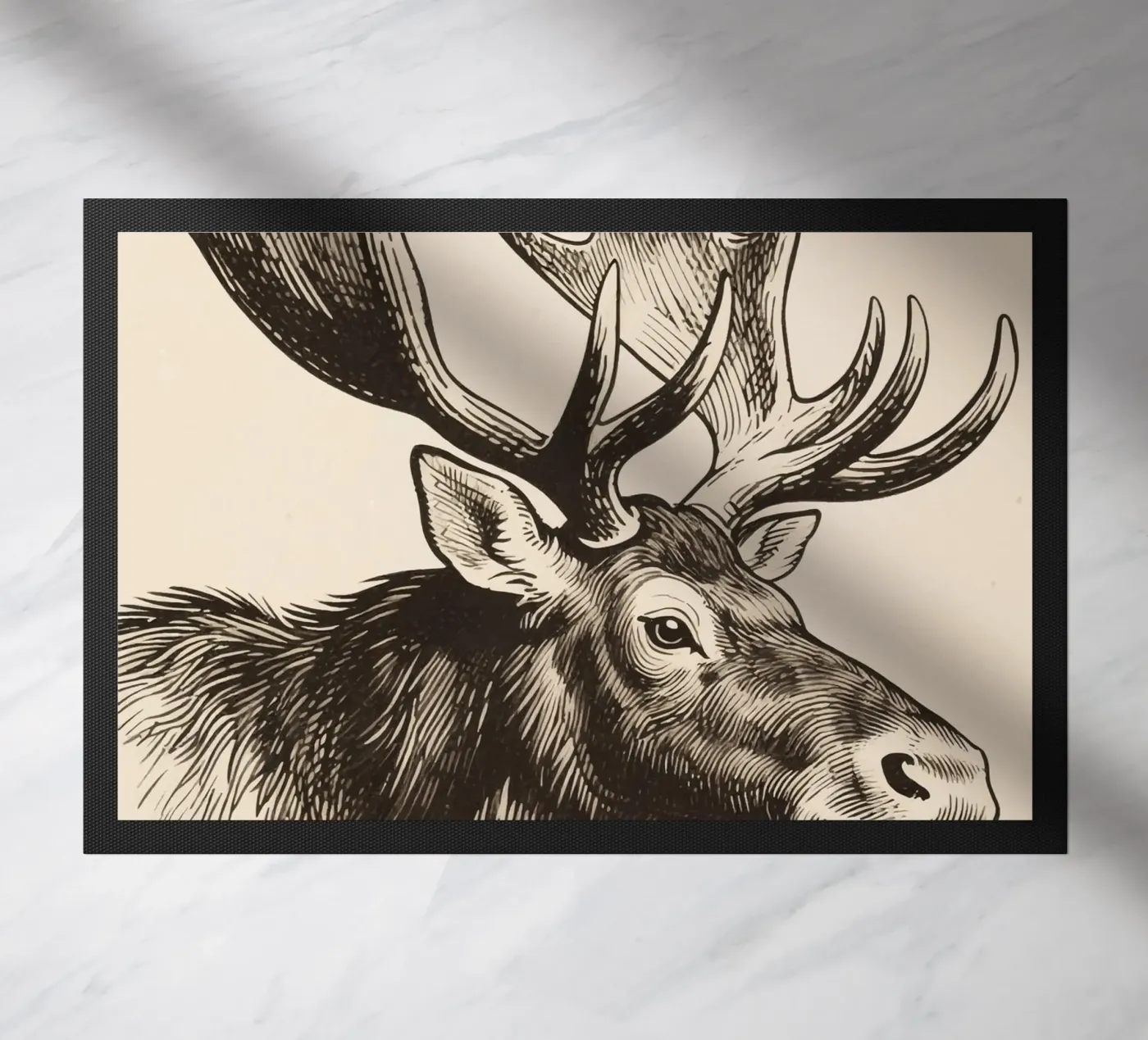 Muschi zerbino da knowledge