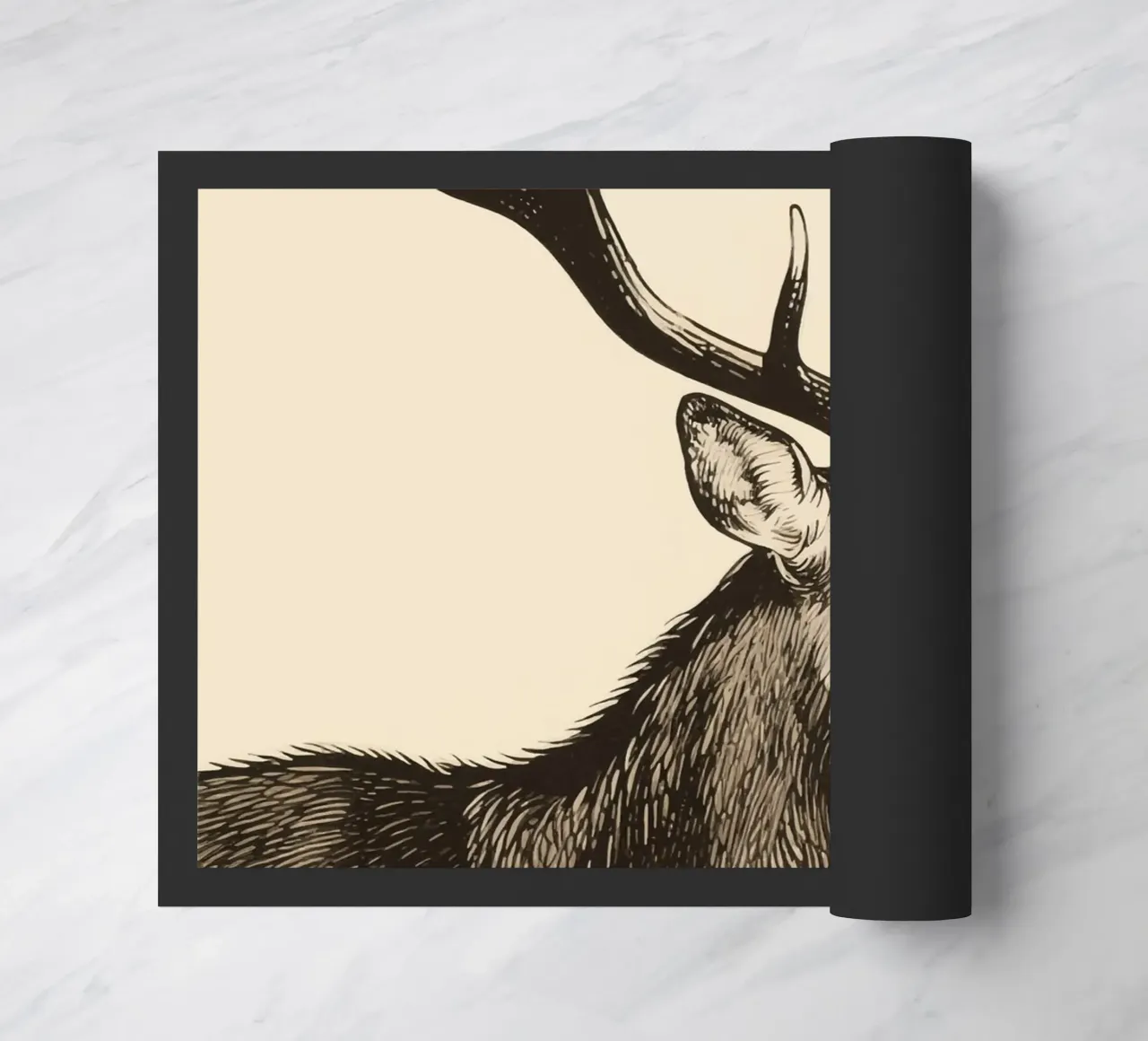 Alce zerbino da knowledge