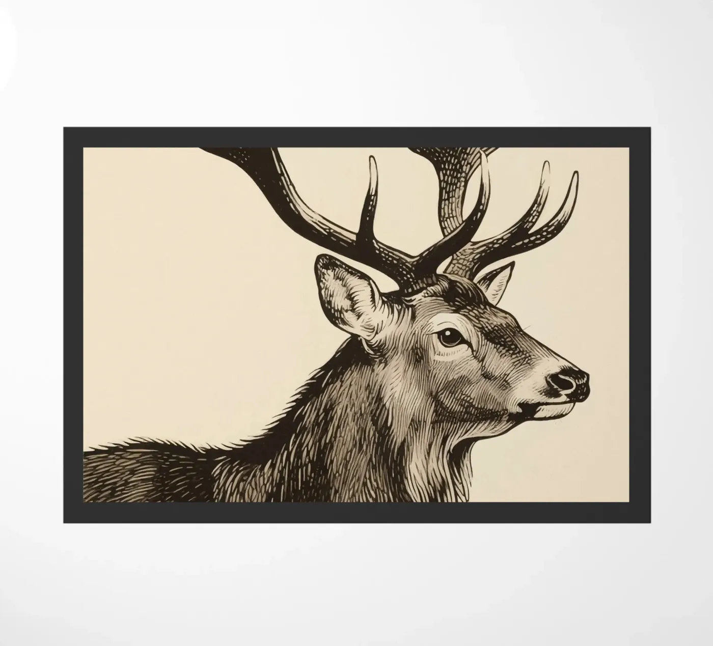 Elk zerbino da knowledge