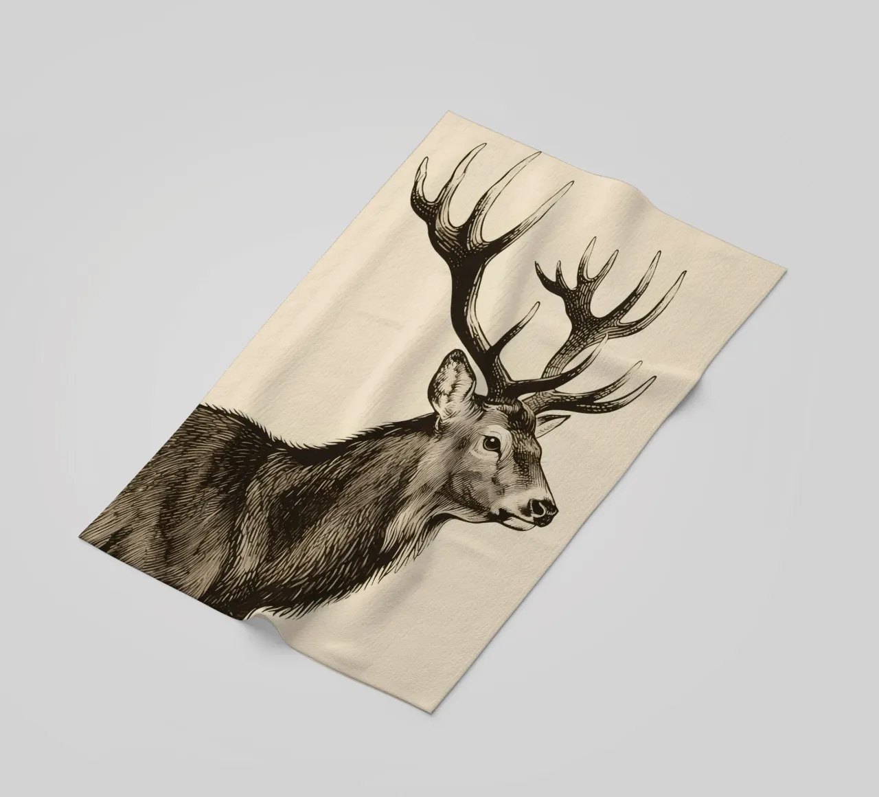 Alce telo mare da knowledge