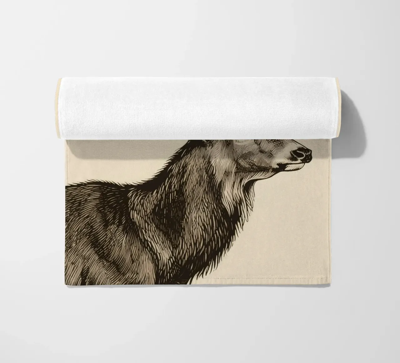 Alce telo mare da knowledge