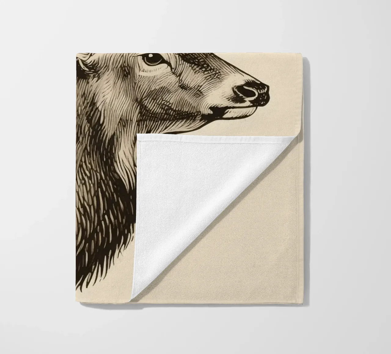 Alce telo mare da knowledge