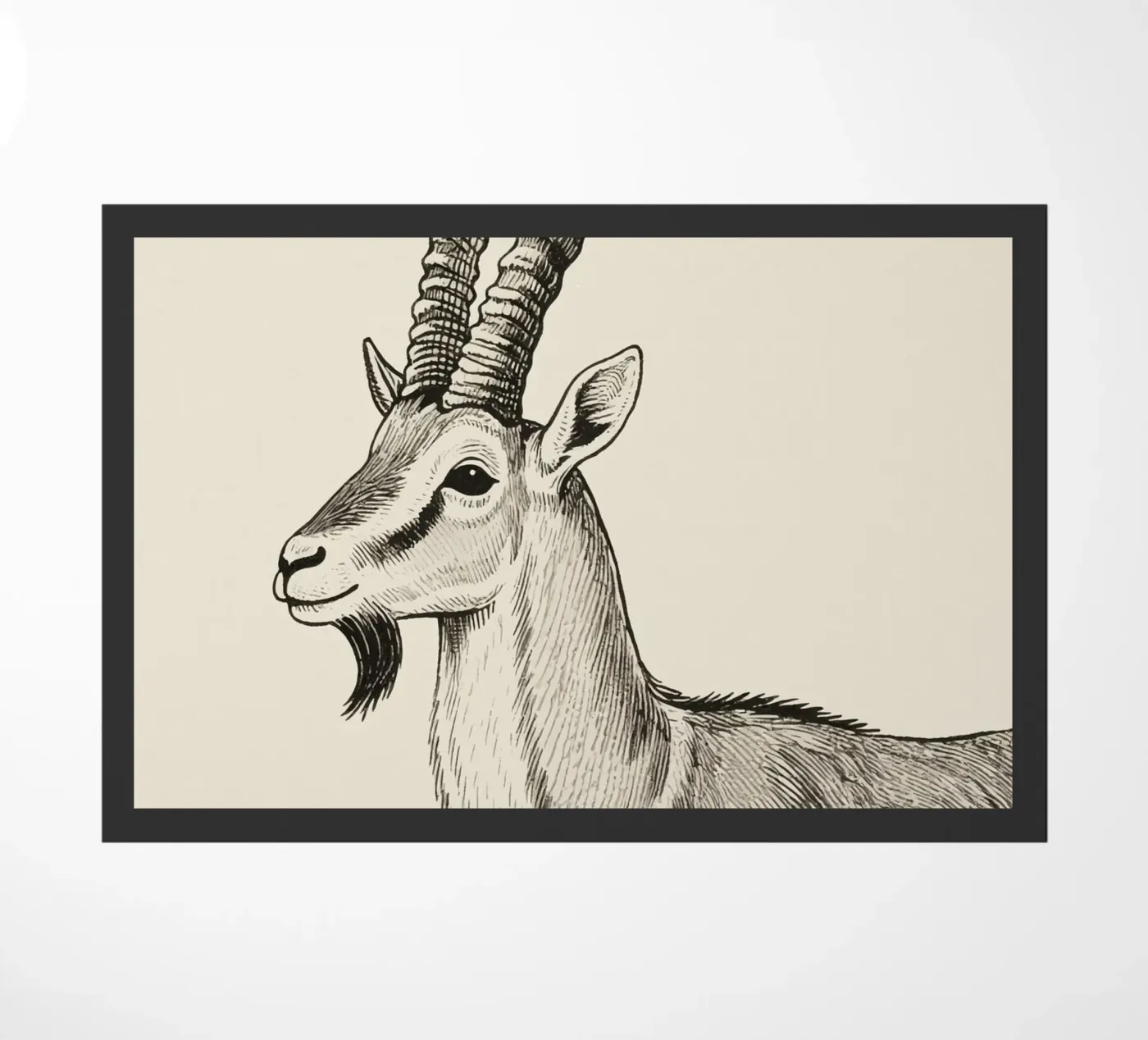 Markhor zerbino da knowledge