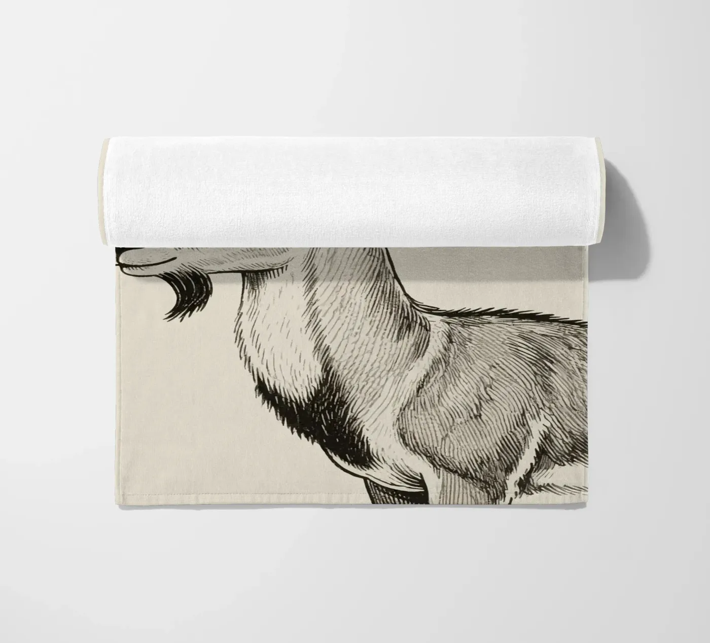 Markhor telo mare da knowledge