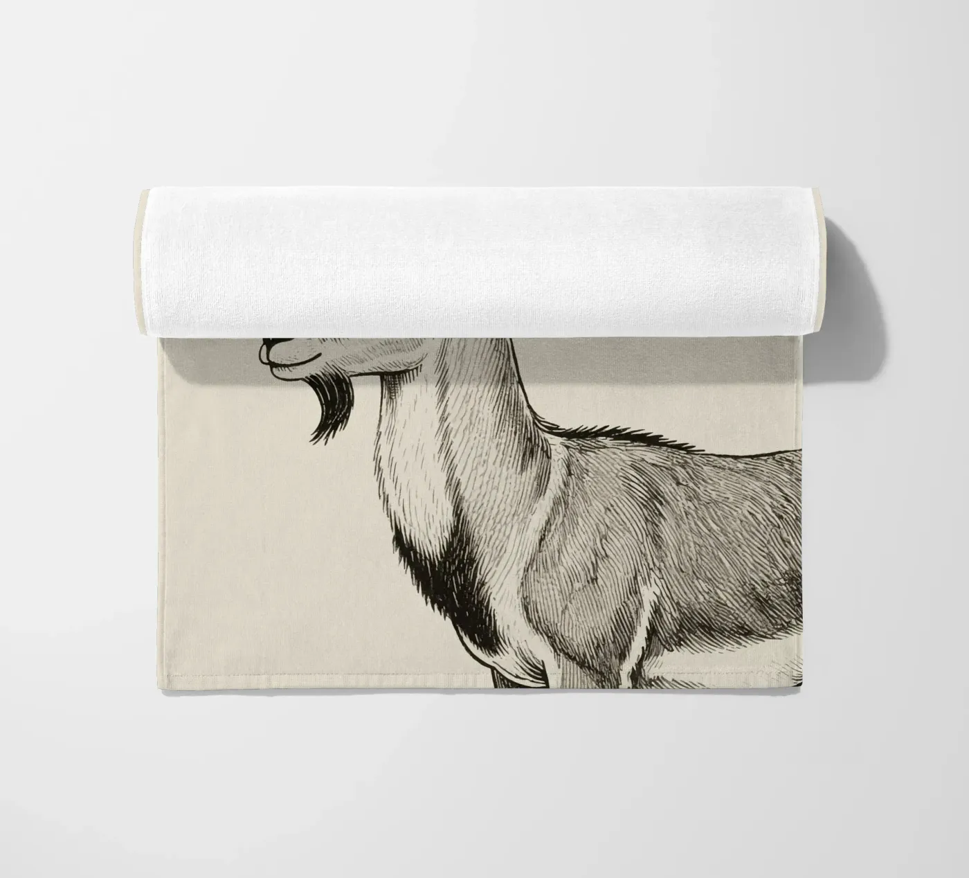 Markhor telo mare da knowledge
