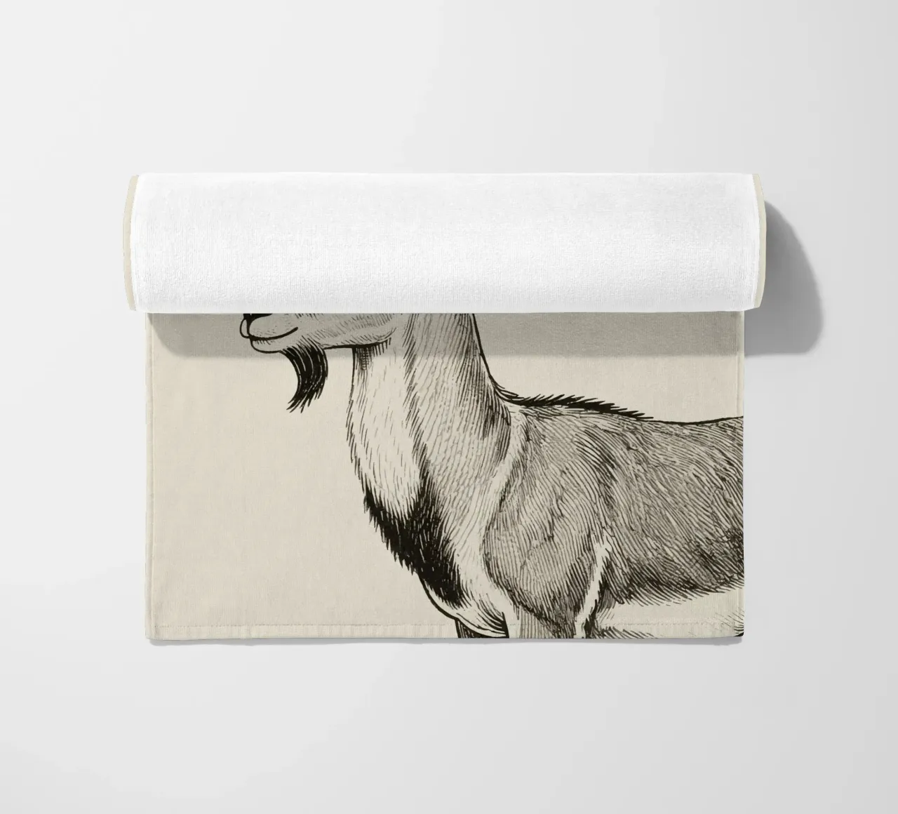 Markhor telo mare da knowledge