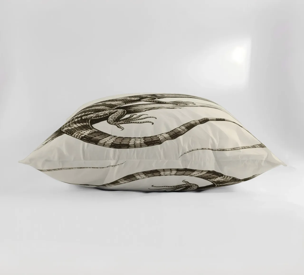 Skink cuscino da knowledge