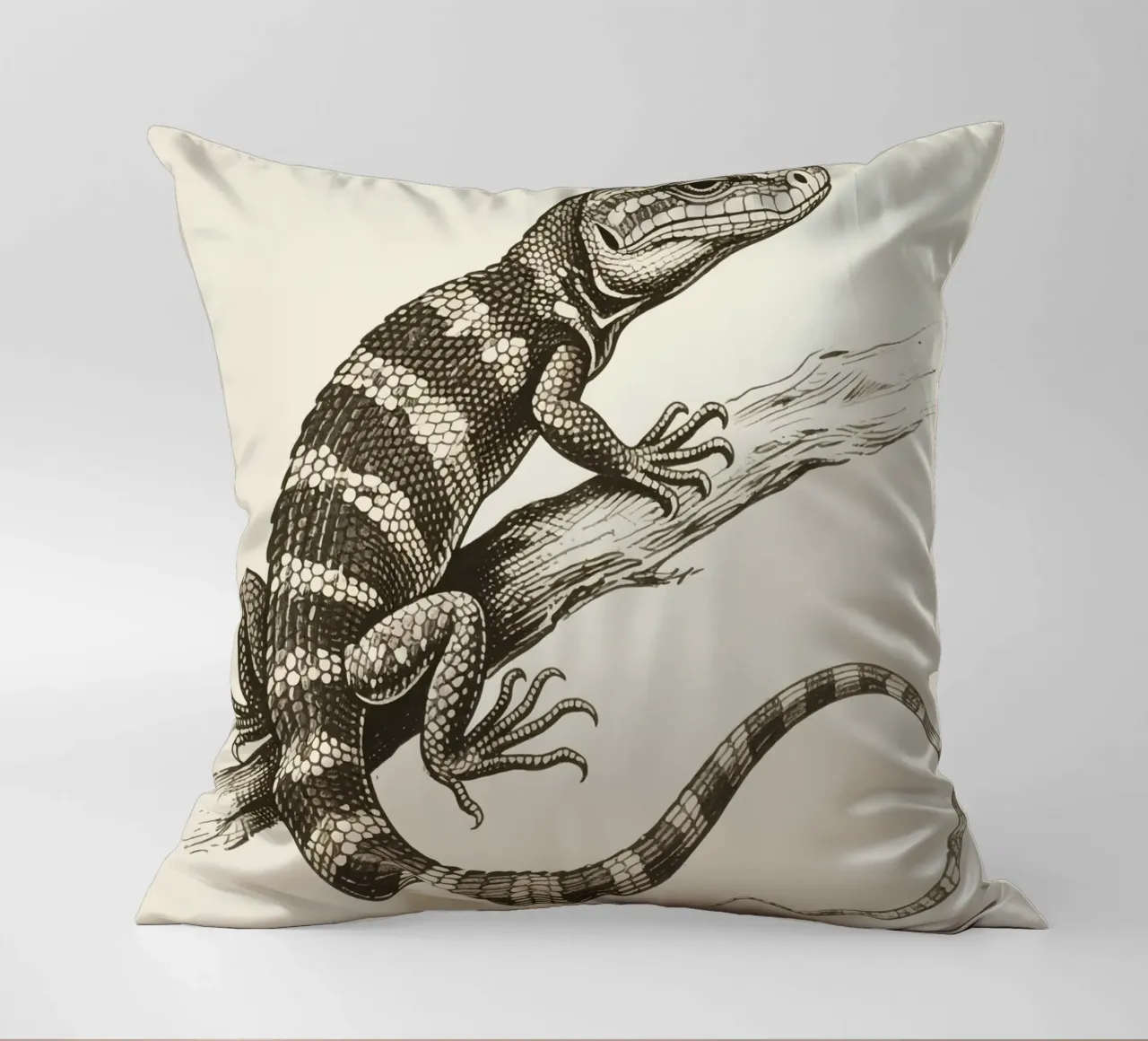 Skink cuscino da knowledge