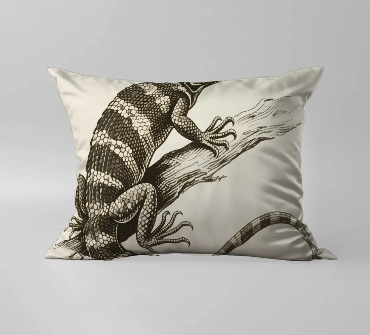 Skink cuscino da knowledge