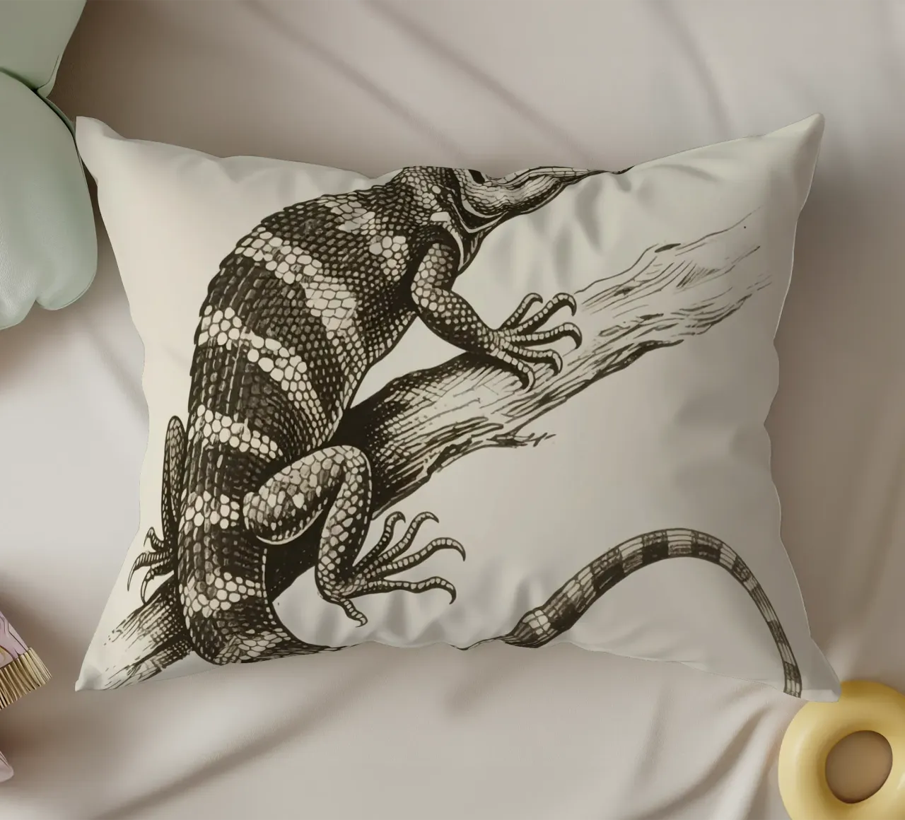 Skink cuscino da knowledge