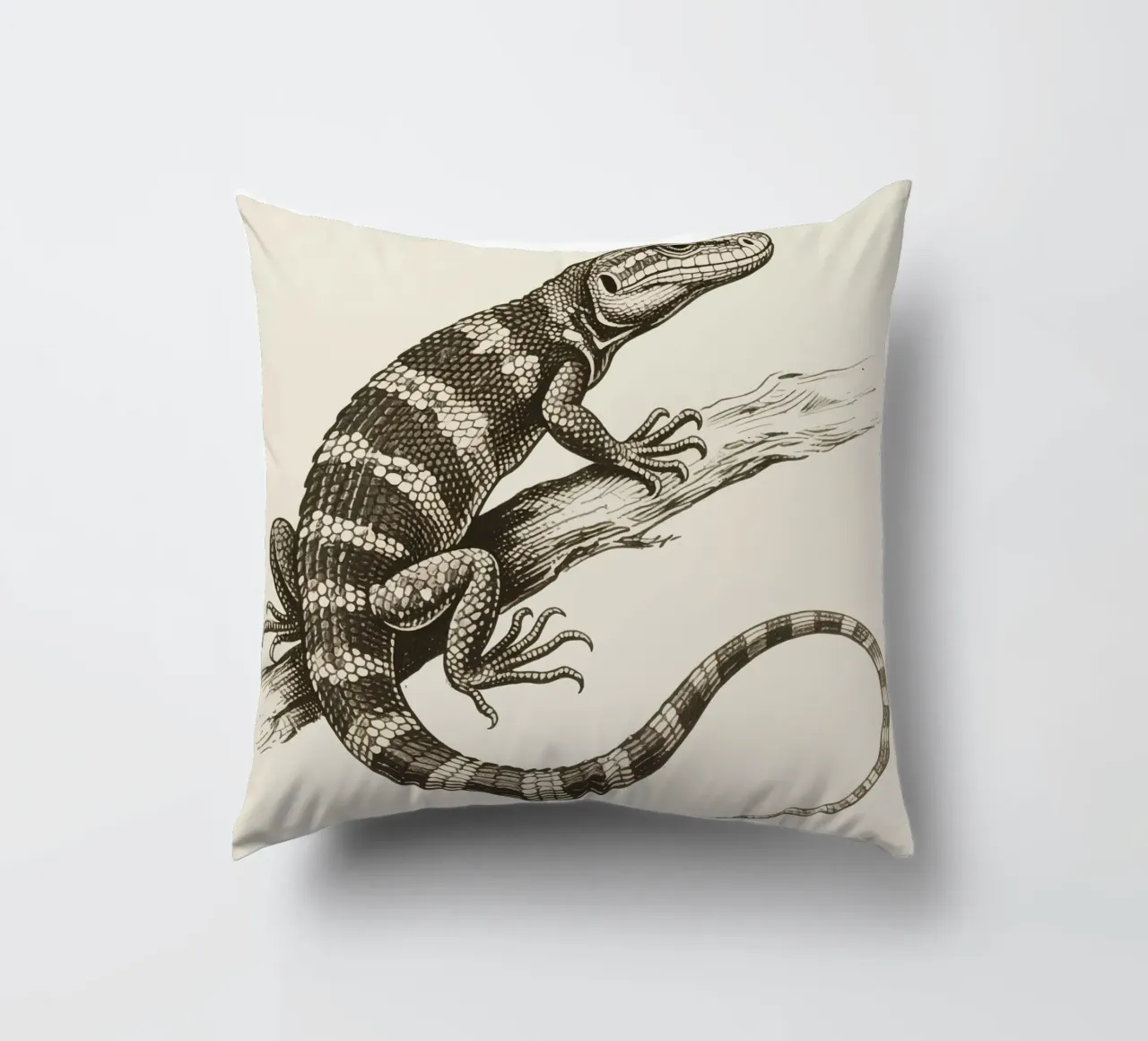 Skink cuscino da knowledge
