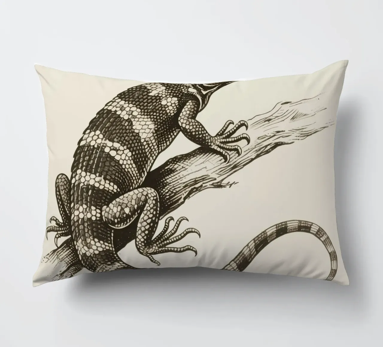 Skink cuscino da knowledge
