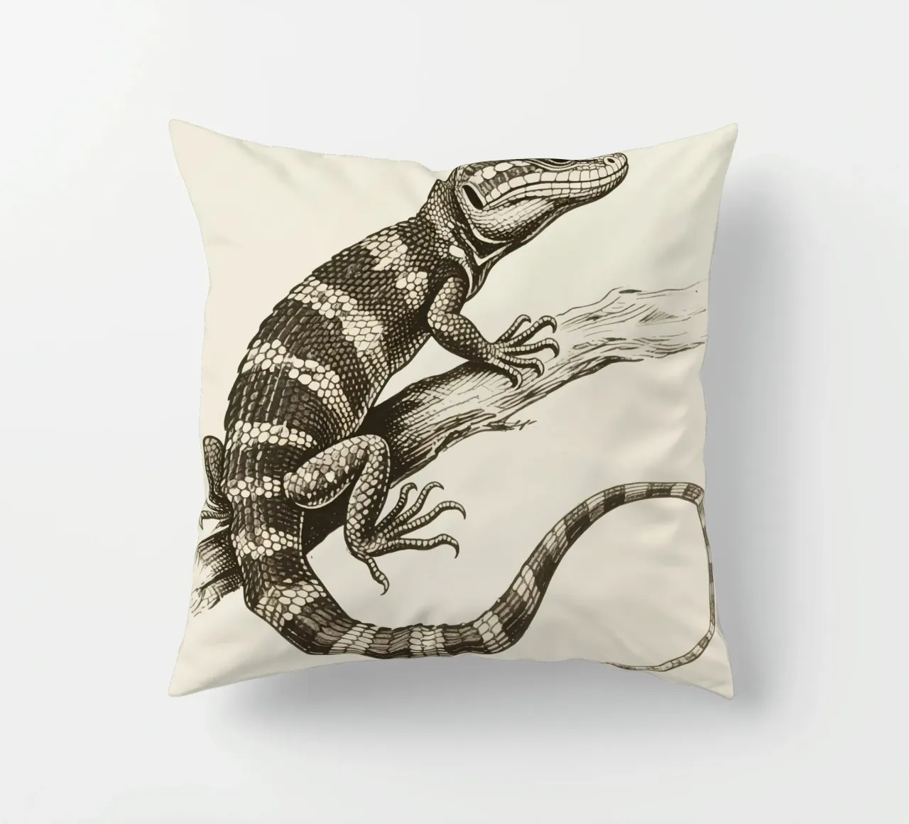 Skink cuscino da knowledge