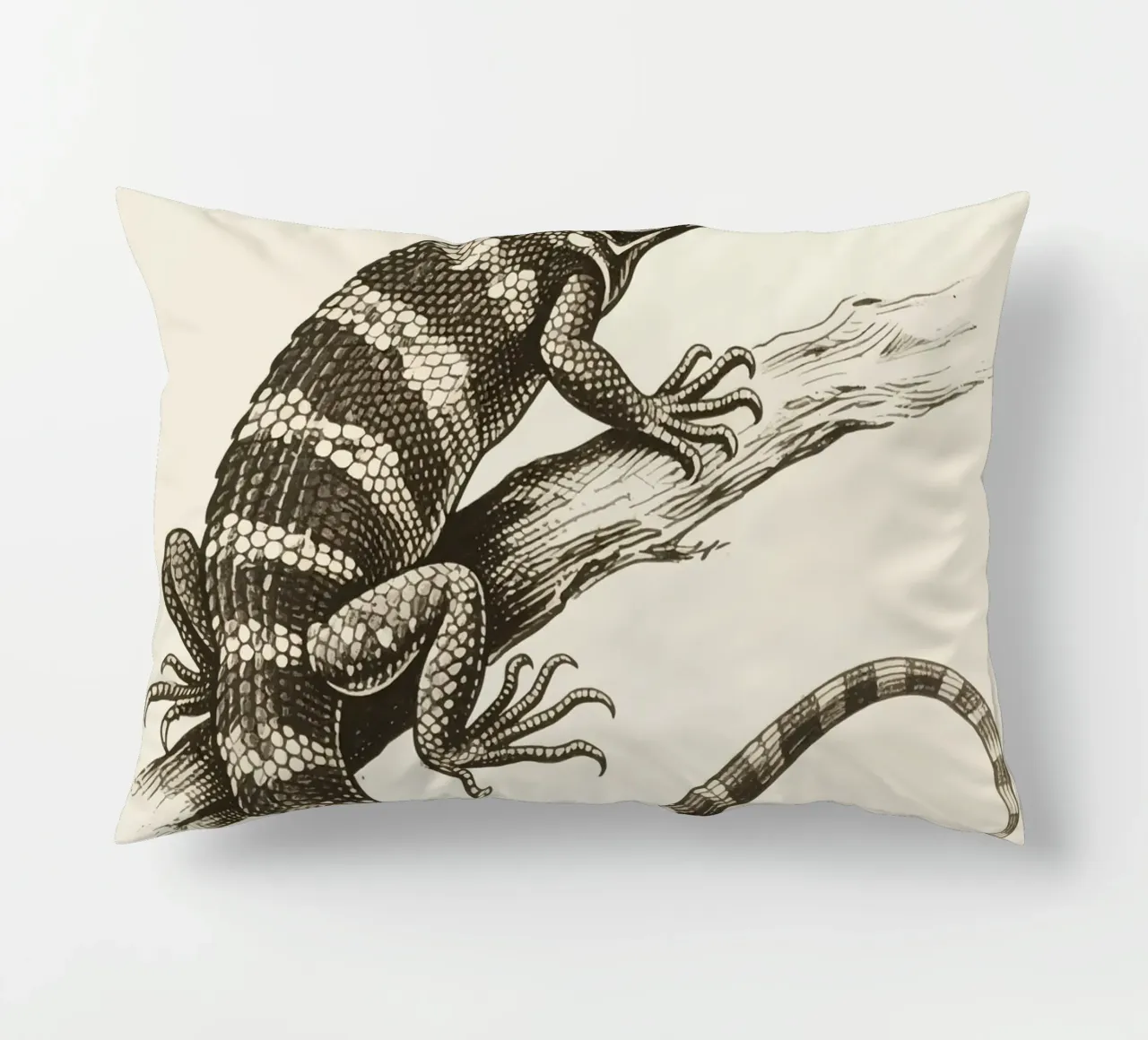 Skink cuscino da knowledge