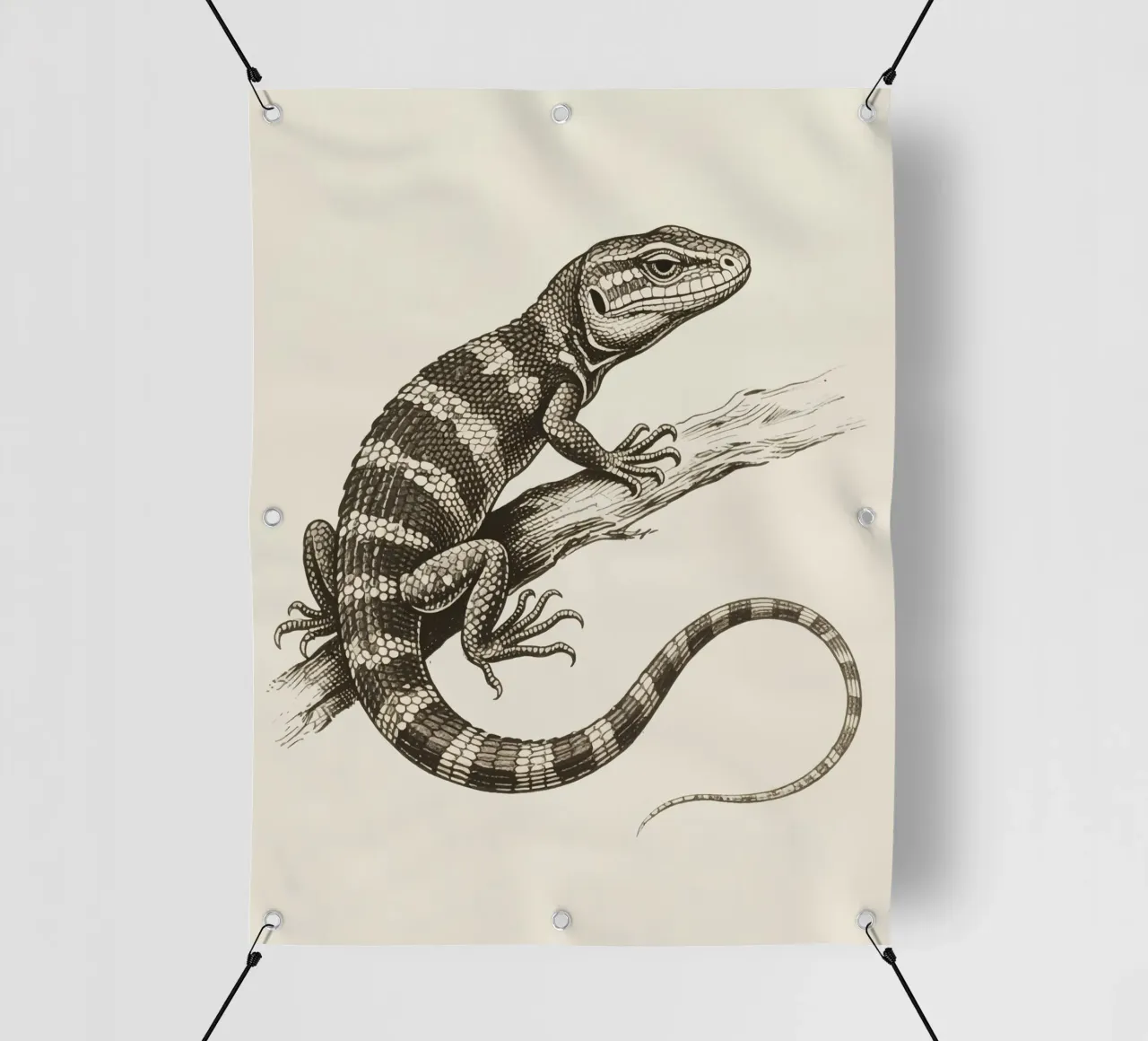 Skink telo in pvc da knowledge