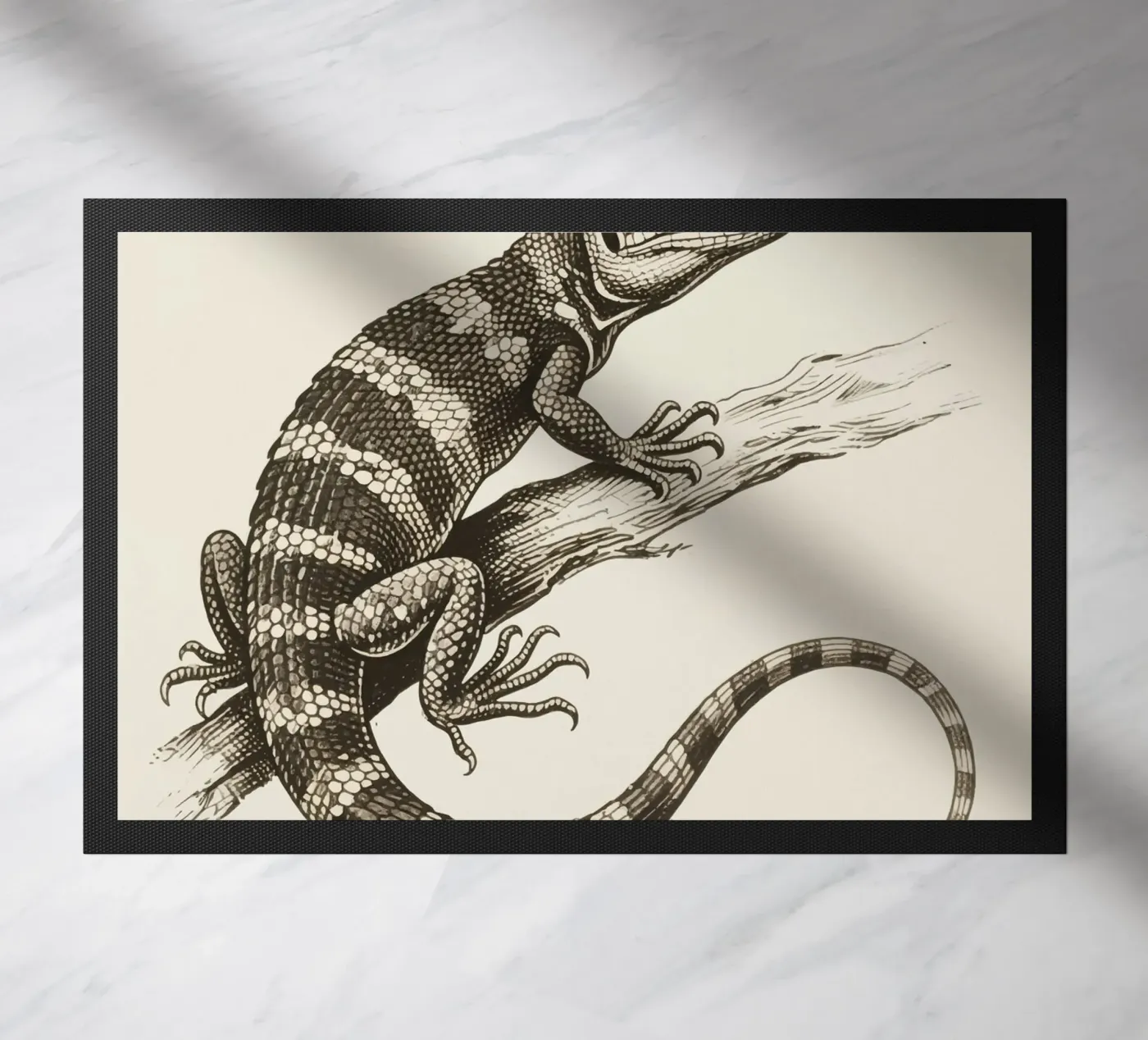 Skink zerbino da knowledge