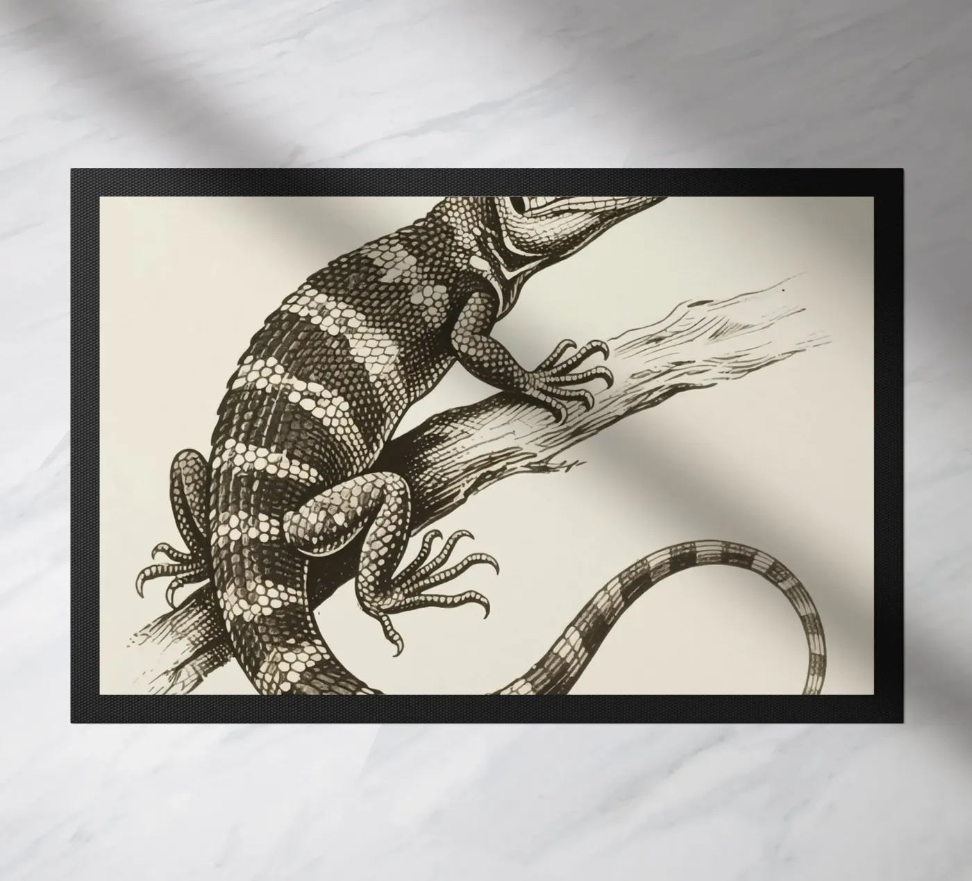 Skink zerbino da knowledge