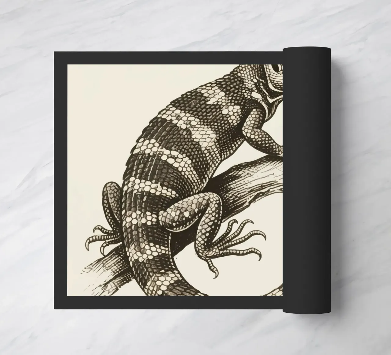 Skink zerbino da knowledge