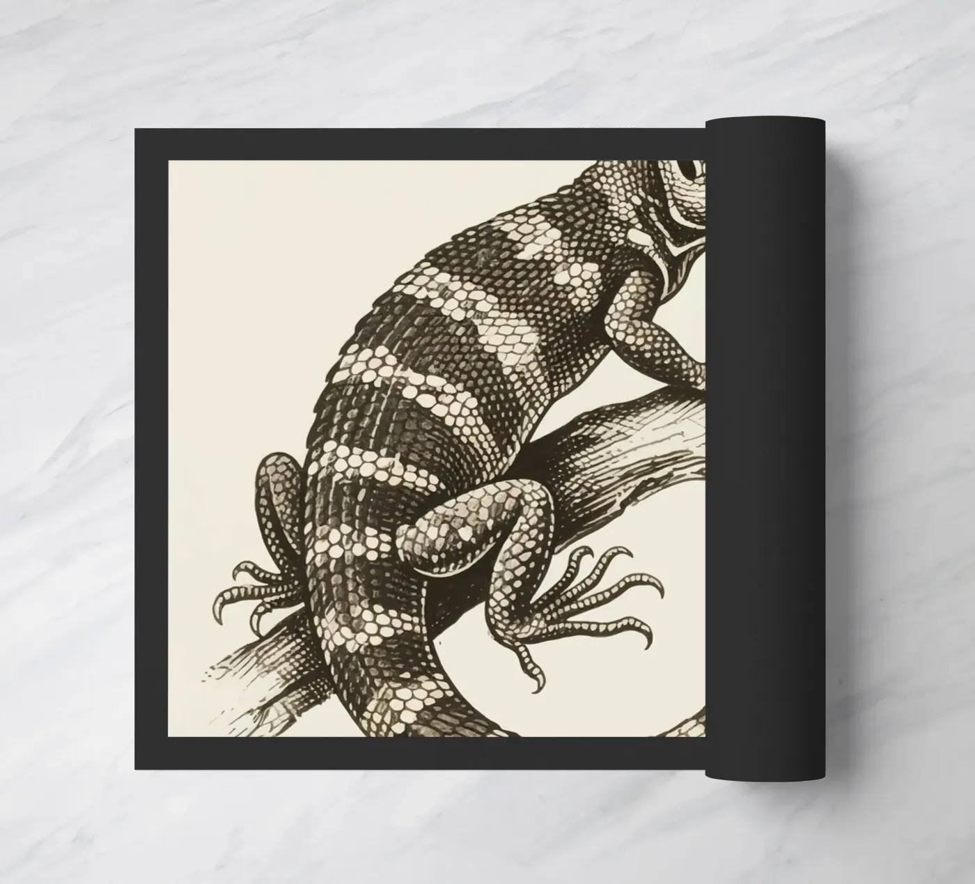 Skink deurmat van knowledge