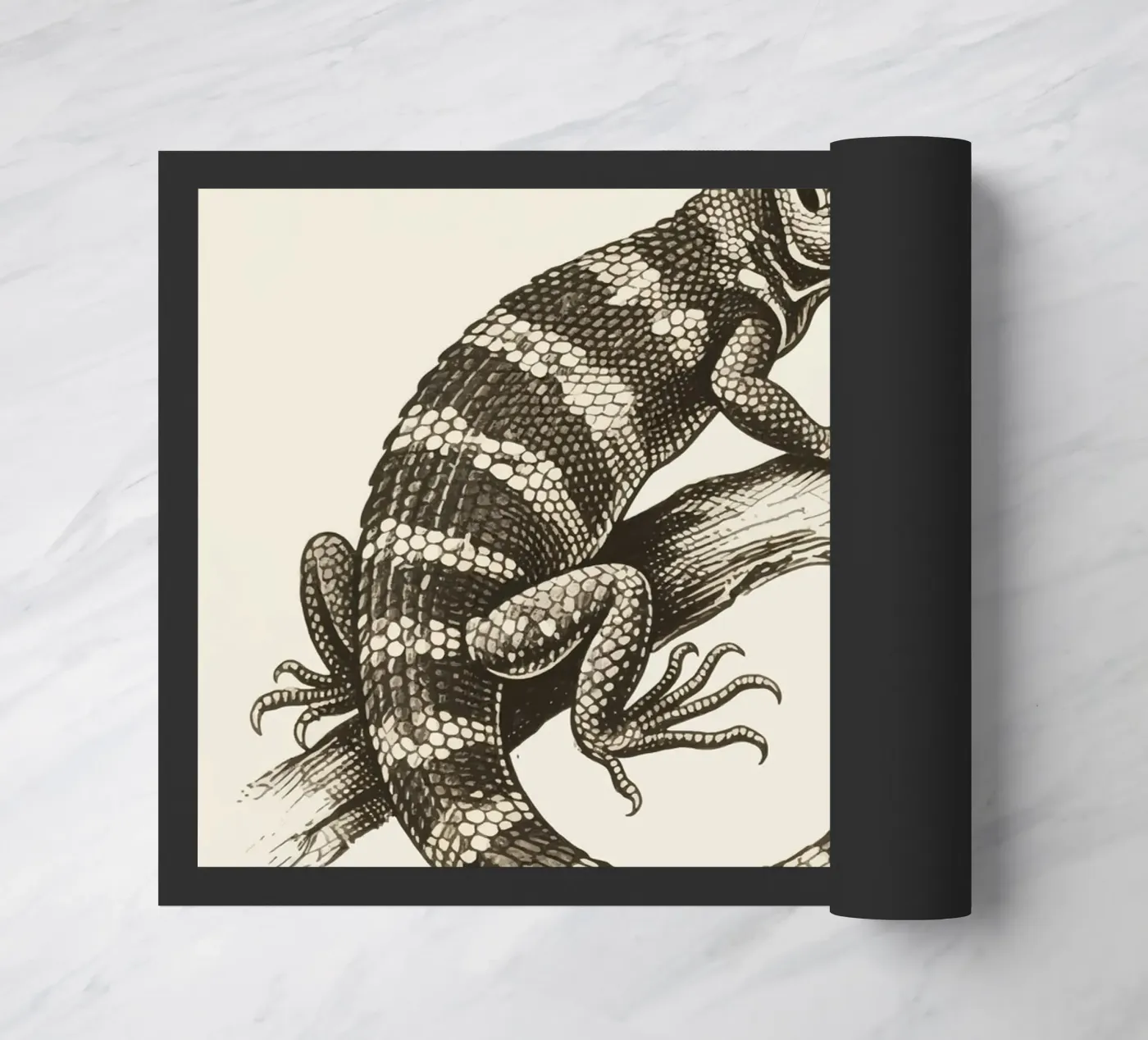 Skink zerbino da knowledge