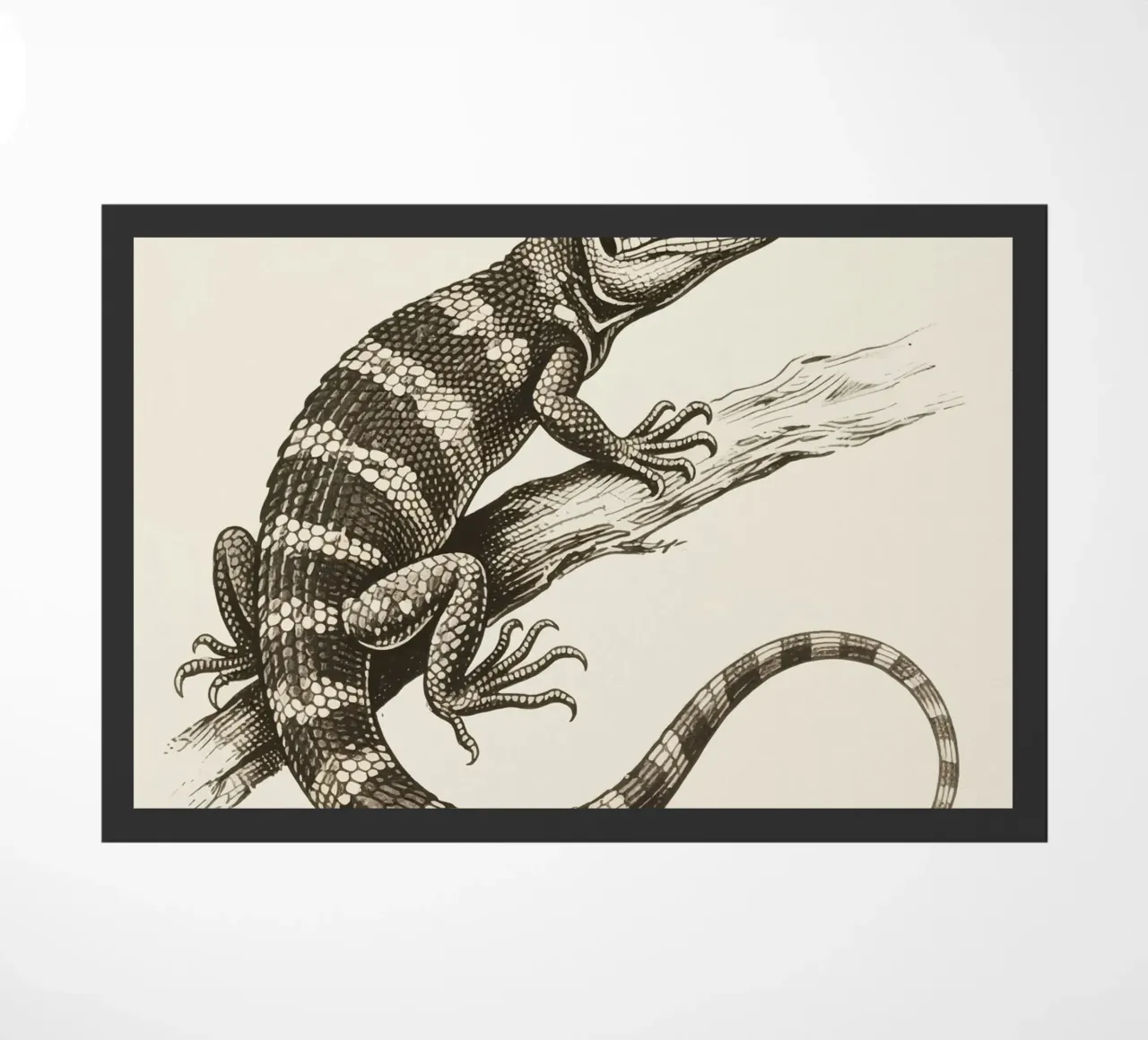 Skink zerbino da knowledge