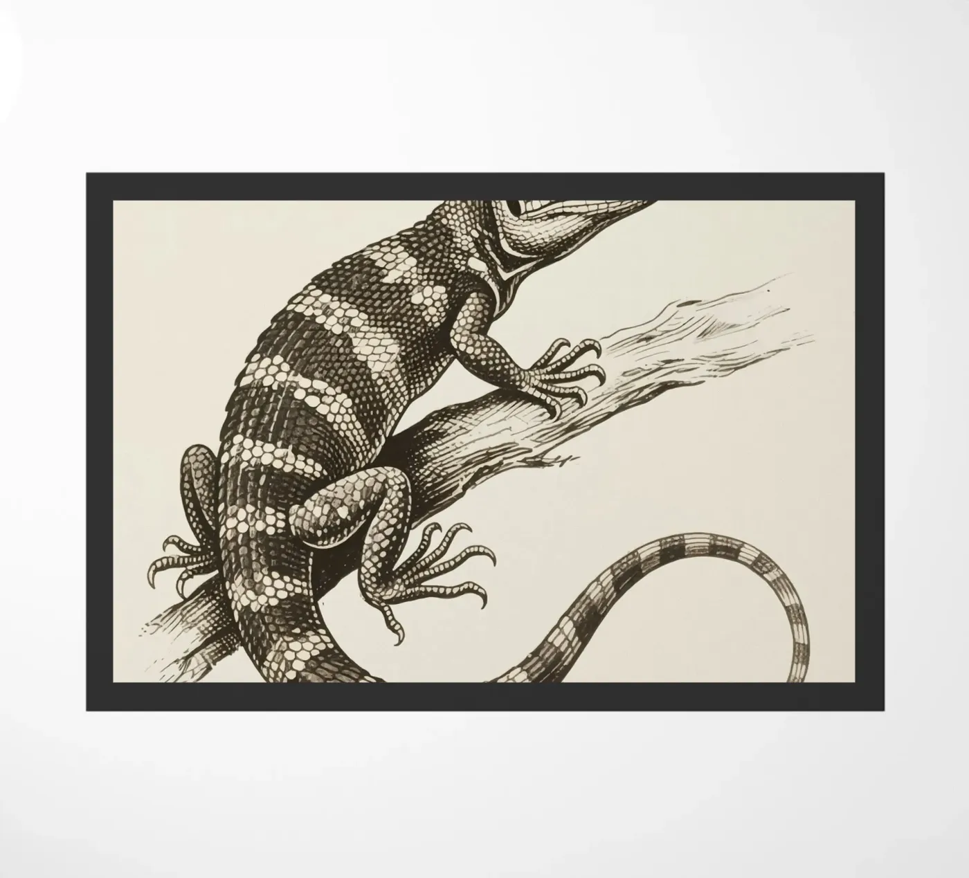 Skink zerbino da knowledge