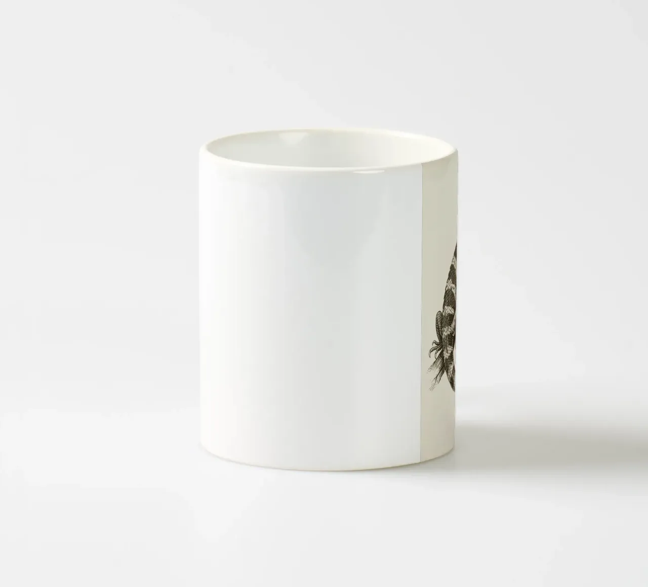 Skink tazza in ceramica da knowledge