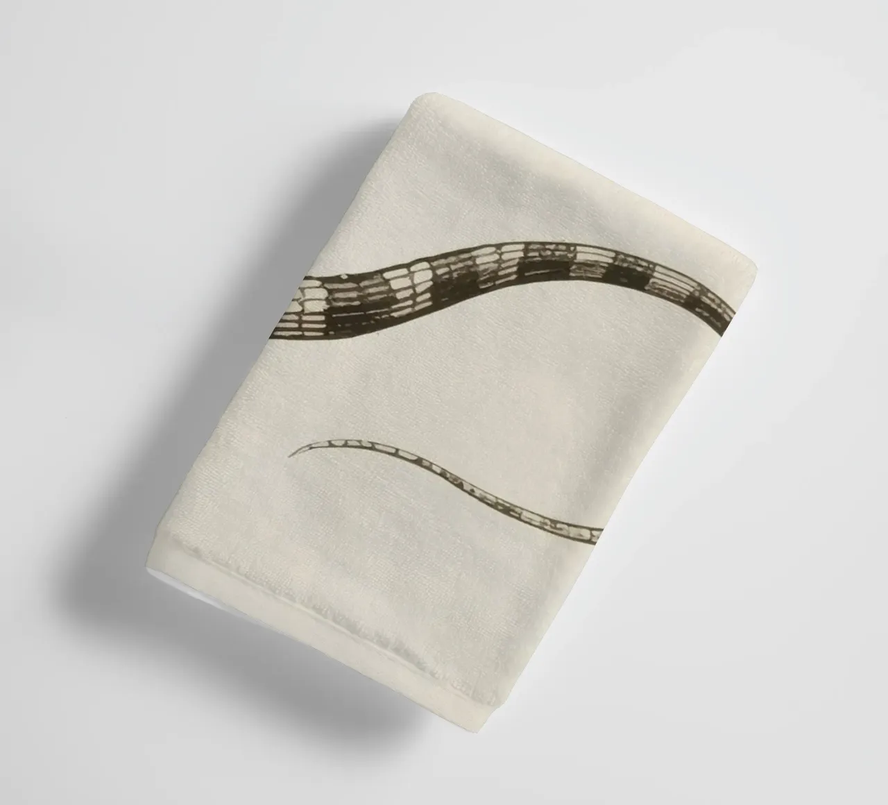 Skink asciugamano da bagno da knowledge