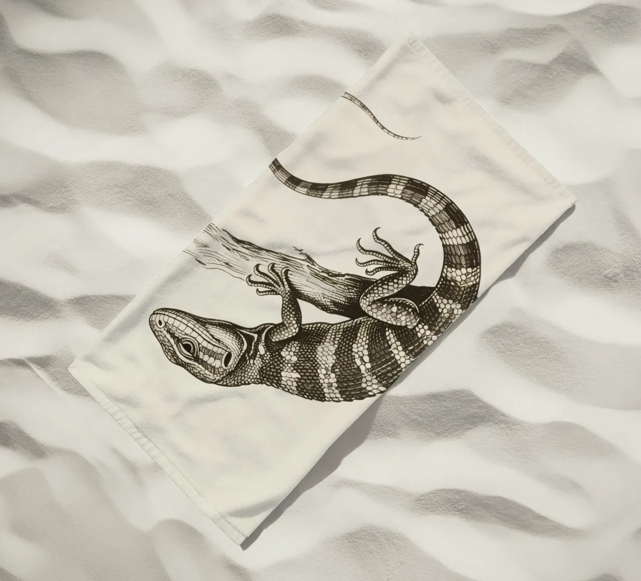 Skink telo mare da knowledge