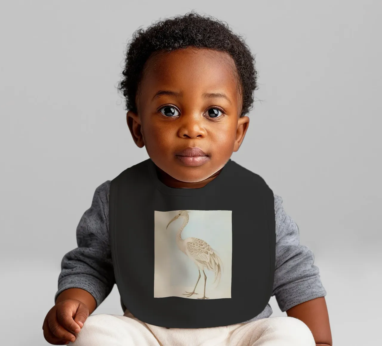 Ibis bavaglino da knowledge