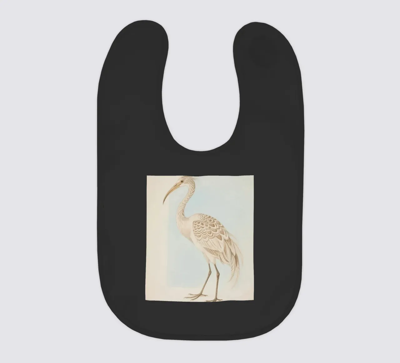 Ibis bavaglino da knowledge