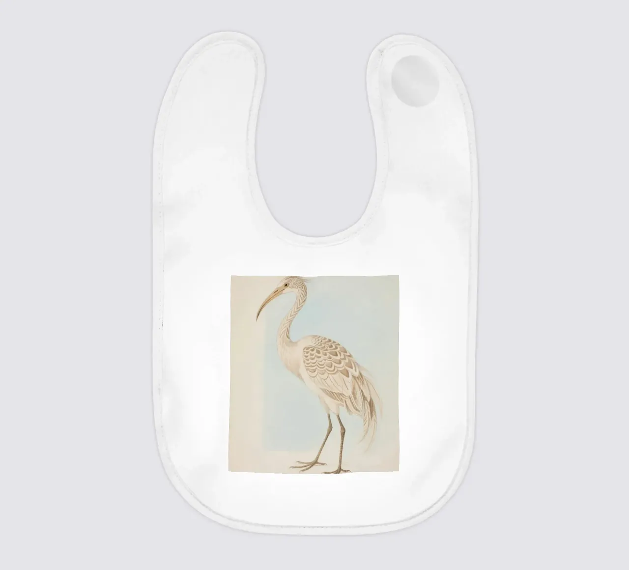 Ibis bavaglino da knowledge