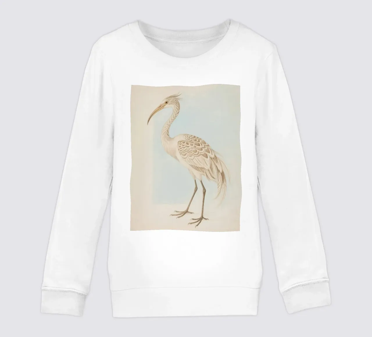 Ibis felpa bambino da knowledge