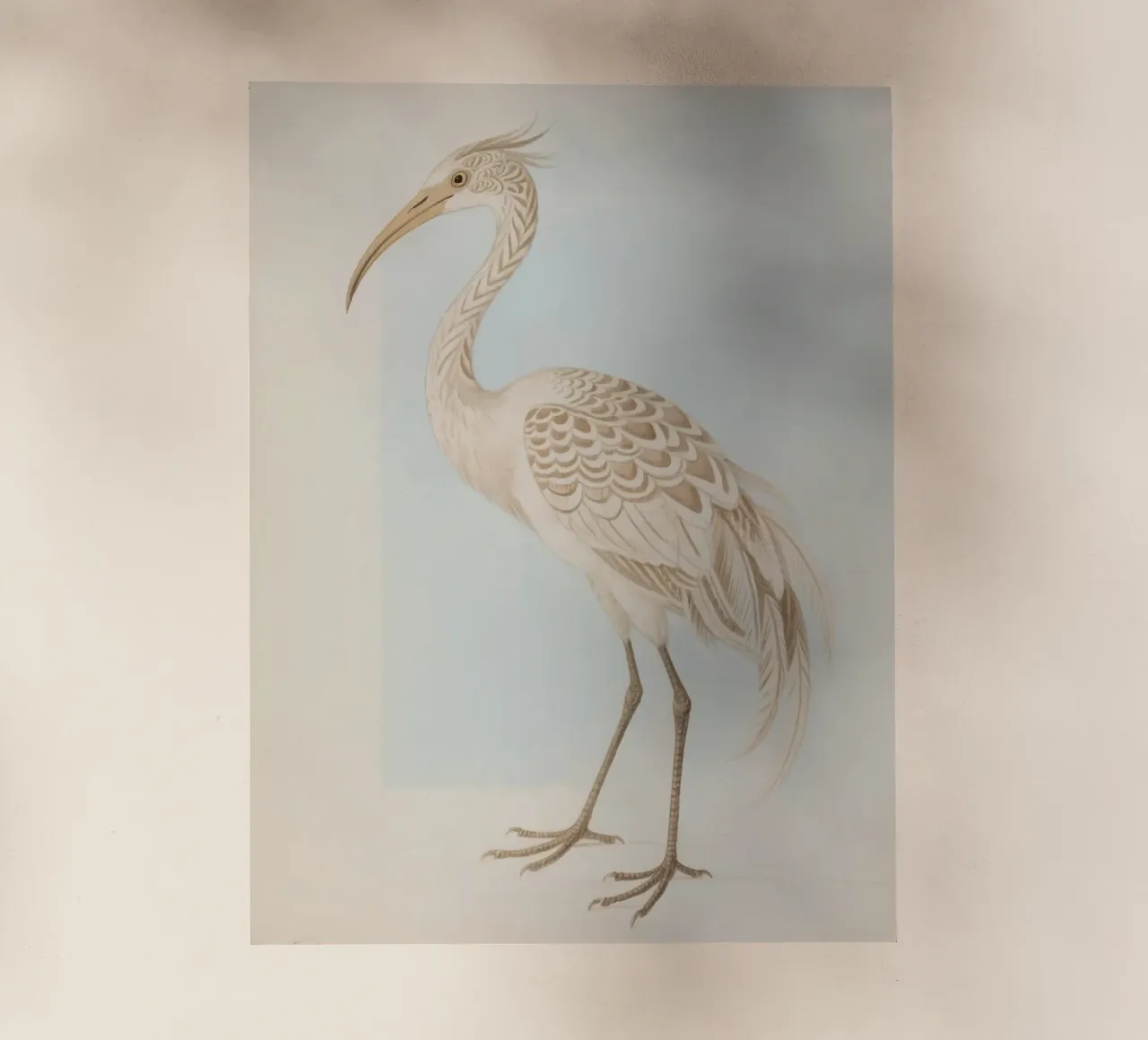 Ibis pellicola backlit da knowledge