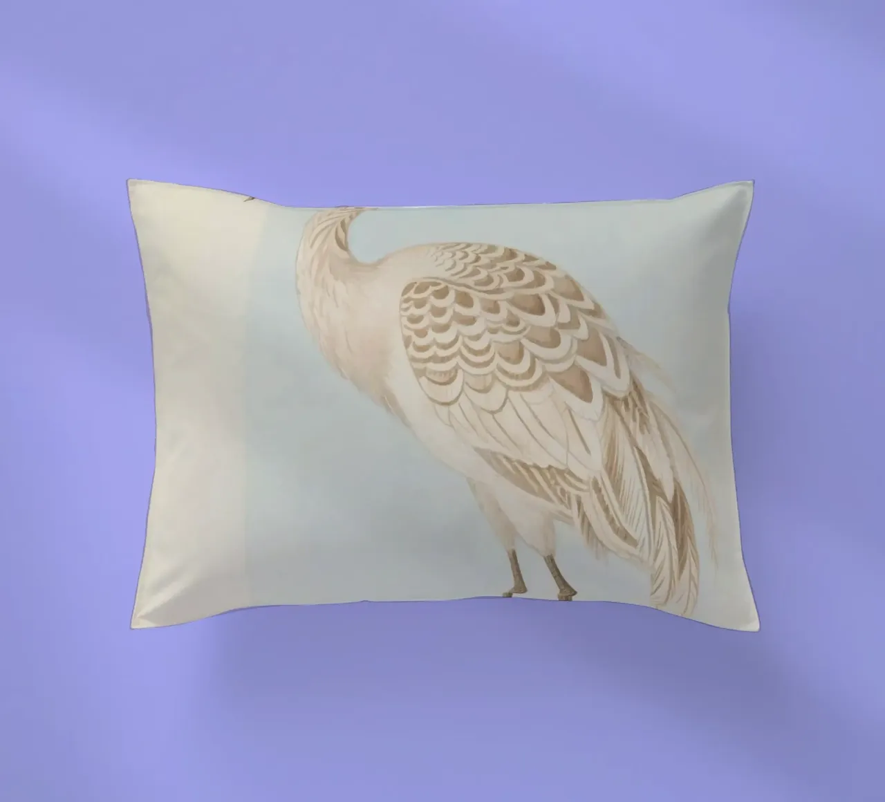 Ibis cuscino da knowledge
