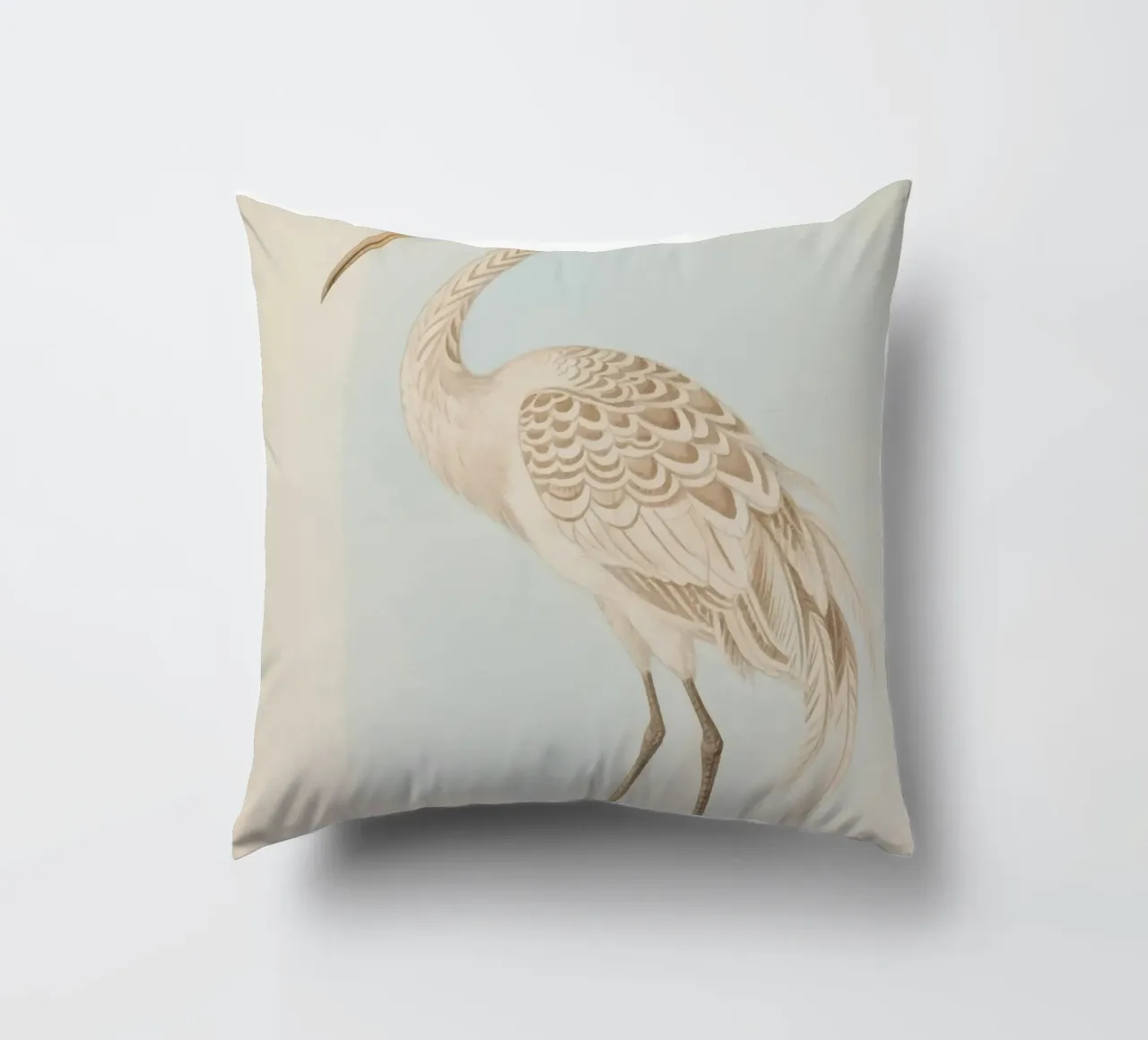 Ibis cuscino da knowledge